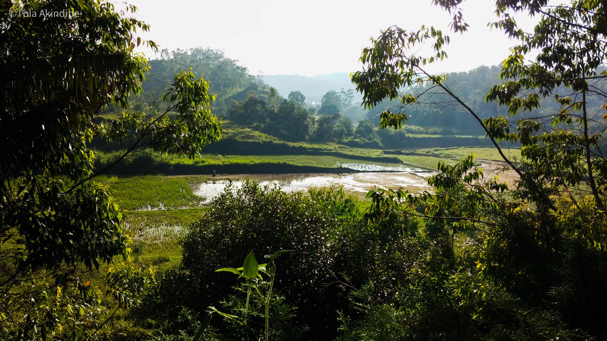 Madagascar National Park